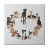 おもしろい犬が飼い犬 タイル (正面)
