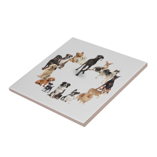 おもしろい犬が飼い犬 タイル (側面)