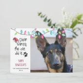 おもしろい犬ことわざ | パステルライト | フォト シーズンカード (スタンド正面)