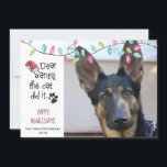 おもしろい犬ことわざ |パステルライト |写真 シーズンカード<br><div class="desc">犬の写ユーモアのある真を撮った写真付きの写真付きのグリーティングカードや、ことわざ「サンタさ親愛ん、猫がやった」と一緒に送れます。 YAPPY HOWLIDAYSの挨拶は、必要に応じて変更できます。
(写真のヒント： 最速または最最高の速の結果を得るには、アップロード前に示すように、中央に件名が入った写真を選択するか、またはプリクロップして同じ形状にします。この写真は、完全に提供された写真宇宙に収まります)。 デザ連絡もしイナでこのデザインを変更するか、別の製品で変更します。</div>