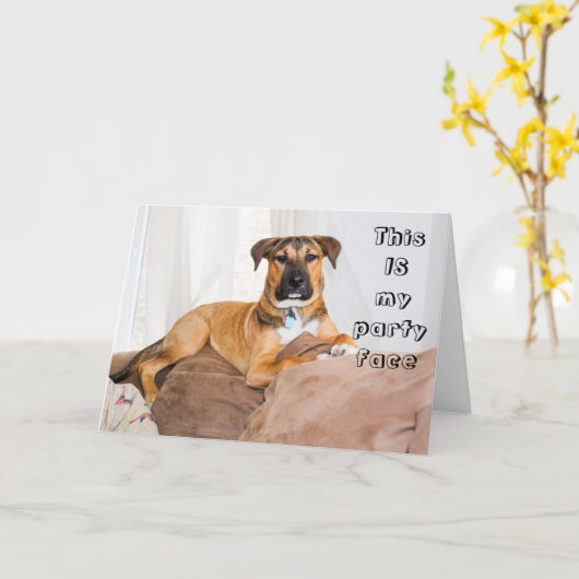 おもしろい犬これは私のパーティー顔誕生日 カード (黄色い花)