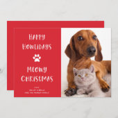 おもしろい犬と猫のクリスマスと写真 シーズンカード (正面/裏面)