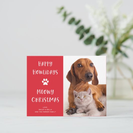 おもしろい犬と猫のクリスマス(写真あり) シーズンポストカード (スタンド正面)