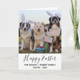 おもしろい犬とRabbit Earsハッピーイースター写真 シーズンカード