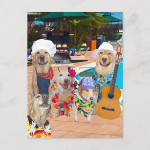 おもしろい犬のカスタマイズ可能なプールを囲んでのパーティの郵便はがきの招待 インビテーションポストカード