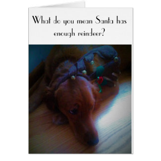 おもしろい犬のクリスマスカード