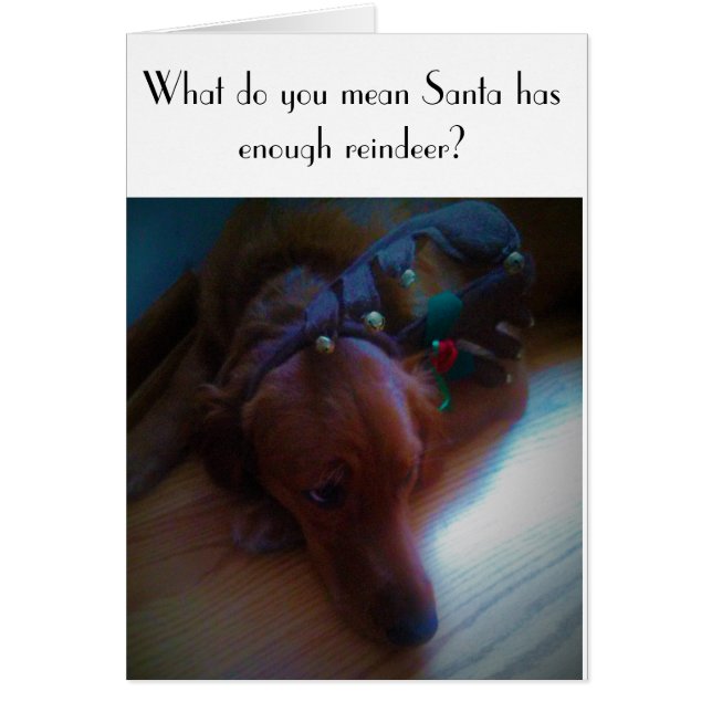 おもしろい犬のクリスマスカード (正面)