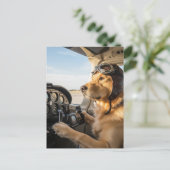 おもしろい犬のパイロットが飛行機を操縦する 航空 飛行機 誕生日 ポストカード (スタンド正面)