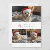 おもしろい犬の写真のいけなクリスマスの挨拶 シーズンカード (正面)