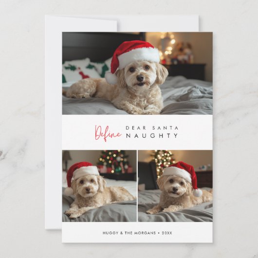 おもしろい犬の写真のいけなクリスマスの挨拶 シーズンカード (正面)