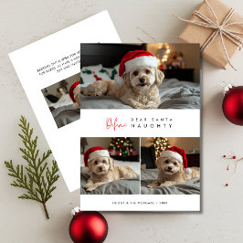 おもしろい犬の写真のいけなクリスマスの挨拶 シーズンカード
