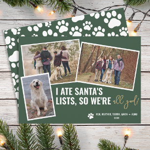 おもしろい犬の写真をパーソナライズしたクリスマスフォト シーズンカード