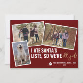 おもしろい犬の写真をパーソナライズしたクリスマスフォト シーズンカード (正面)