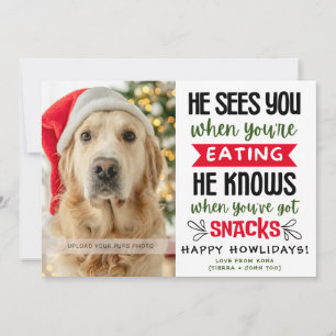 おもしろい犬の写真 クリスマス ピクチャー オーダーメイド
