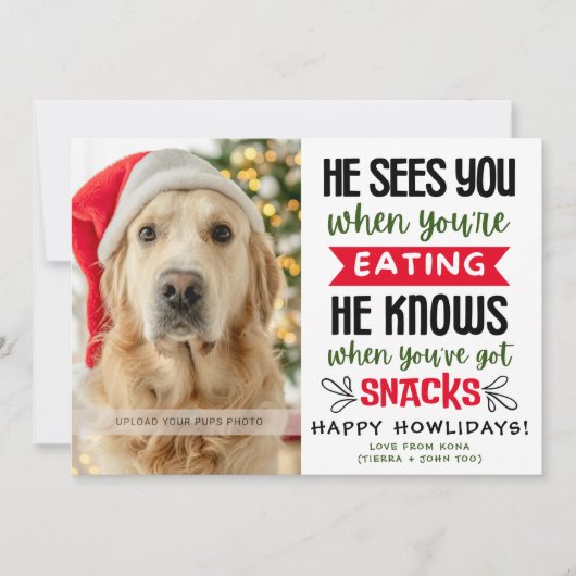 おもしろい犬の写真 クリスマス ピクチャー オーダーメイド (正面)