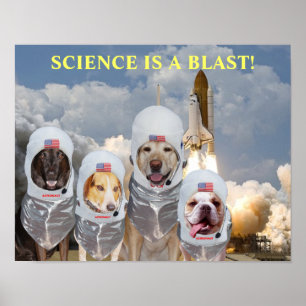 おもしろい犬の宇宙飛行士科学ポスター ポスター