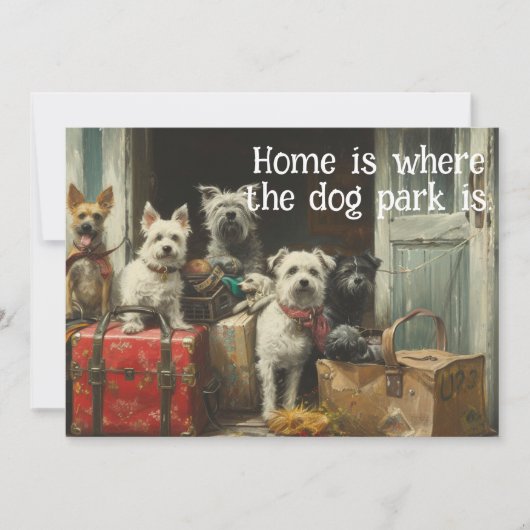 おもしろい犬の新しい住所の通知 (正面)