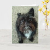 おもしろい犬の誕生日の挨拶状 カード (黄色い花)