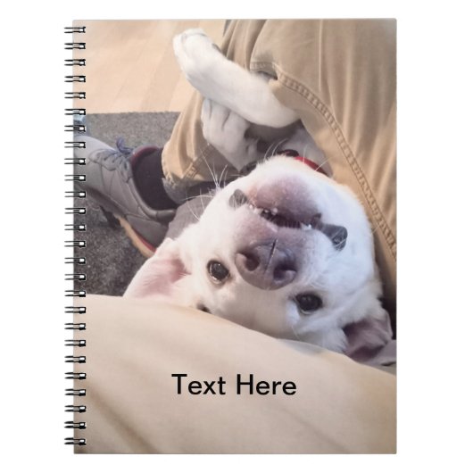 おもしろい犬はコミカルな写真を無視しない ノートブック (正面)