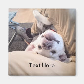 おもしろい犬はコミカルな写真を無視しない マグネット (正面)