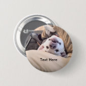おもしろい犬はコミカルな写真を無視しない 缶バッジ (正面&裏面)