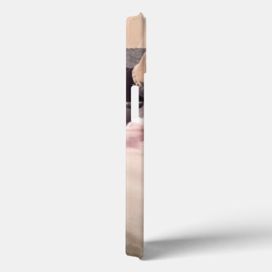 おもしろい犬はコミカルな写真を無視しない Case-Mate iPhoneケース (裏面 / 右)