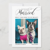 おもしろい犬をテーマにした結婚写真 セーブザデート (正面)