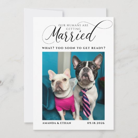 おもしろい犬をテーマにした結婚写真 セーブザデート (正面)