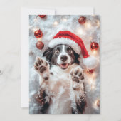 おもしろい犬クリスマスカード シーズンカード (正面)