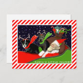 おもしろい犬クリスマスカード シーズンポストカード (正面/裏面)