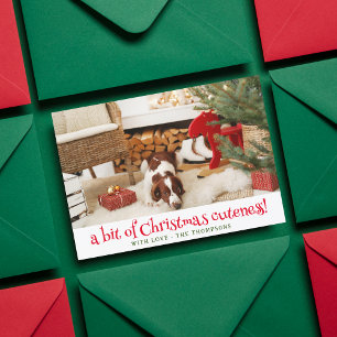 おもしろい犬クリスマス写真パーソナライズされたペット写真 シーズンカード