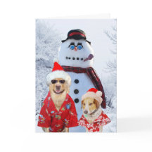 おもしろい犬クールユール（キリスト降誕祭）