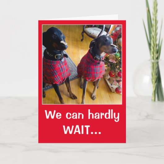 おもしろい犬サンタトリートクリスマスグリーティングカード シーズンカード (正面)