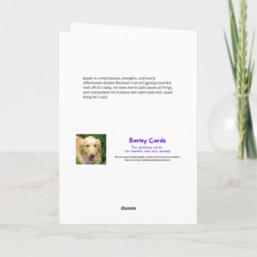 おもしろい犬サンタIはクリスマスのすべてを説明できる カード (裏面)