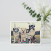 おもしろい犬ハッピーイースターはがき ポストカード (スタンド正面)