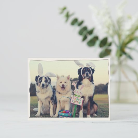 おもしろい犬ハッピーイースターはがき ポストカード (スタンド正面)