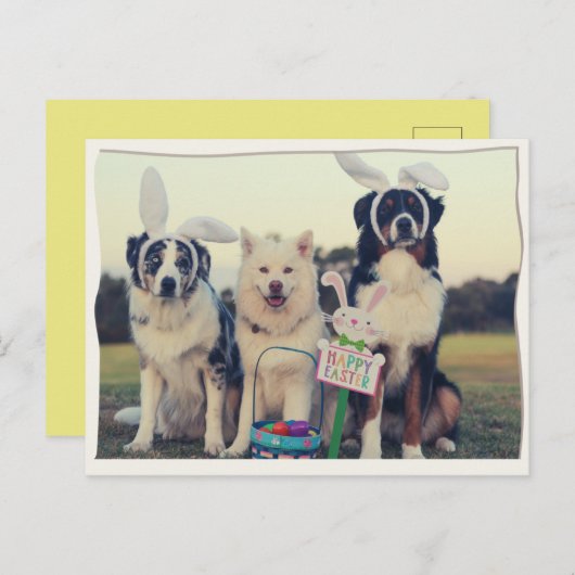 おもしろい犬ハッピーイースターはがき ポストカード (正面/裏面)