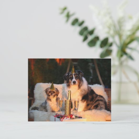 おもしろい犬ハッピーニューイヤー前夜撮影 ポストカード (スタンド正面)