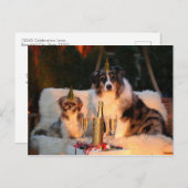おもしろい犬ハッピーニューイヤー前夜撮影 ポストカード (正面/裏面)
