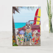 おもしろい犬ハワイアン/サーファー誕生日 カード (正面)
