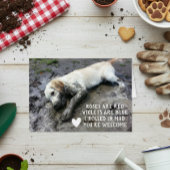 おもしろい犬パピーバレンタインデーミーム