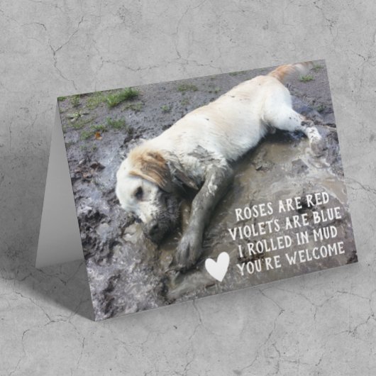 おもしろい犬パピーバレンタインデーミーム