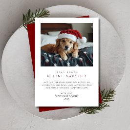 おもしろい犬フォトクリスマスデザイいけなン赤ペット シーズンカード