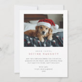おもしろい犬フォトクリスマスデザイいけなン赤ペット シーズンカード (正面)