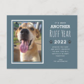 おもしろい犬フォトラフ2022年クリスマス シーズンポストカード (正面)