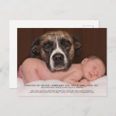 おもしろい犬ベビー写真の誕生発表 案内ポストカード (正面/裏面)