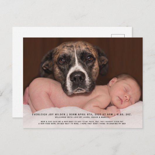 おもしろい犬ベビー写真の誕生発表 案内ポストカード (正面/裏面)