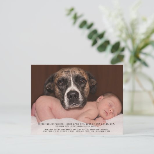 おもしろい犬ベビー写真の誕生発表 案内ポストカード (スタンド正面)
