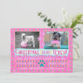 おもしろい犬ペットクリスマスホリデーフォト |取得 シーズンカード (スタンド正面)