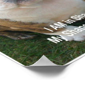 おもしろい犬ポスターブルドッグペットドッグクリエイションアーツ ポスター (角)